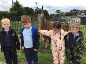 Primary One had a fun day on the farm