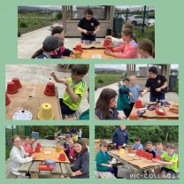 P7 Busy in the Garden