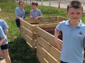 🦅🦋☀️P3 outdoors in the garden🦋☀️🦅