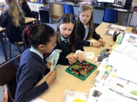 Beyond Bricks in P5