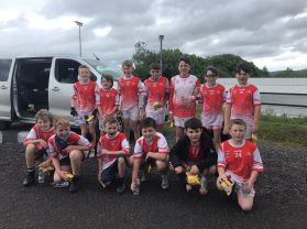 Fermanagh GAA blitz at Lissan