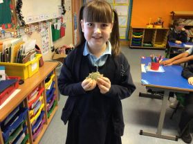 Róise in P3 with her Irish dancing medals