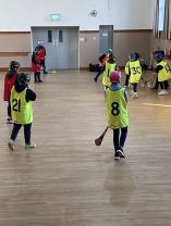 P6  enjoy final hurling session