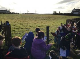 The Big Garden Birdwatch