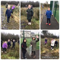 P5 collecting rushes to make our St Brigid’s Crosses 