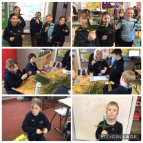 P4/5 making St Brigid’s Crosses