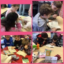 Pair Reading Primary 6 and P3/4