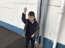 P2 really enjoyed our Easter egg hunt. Happy Easter everyone. 🐣🐣🐣 🙏