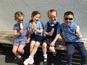 P1 Fun in the Sun