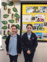 P6 Stars of the Week