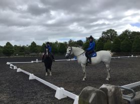 P1&2 Open Farm Trip